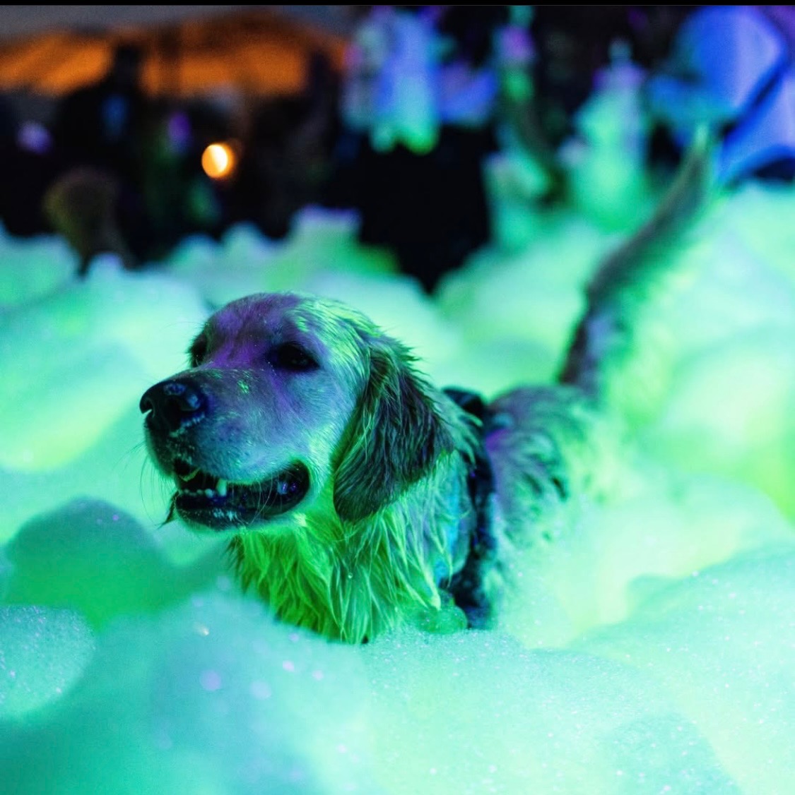 Fun for the whole family - Foam Fiesta foam party rentals Miami, FL